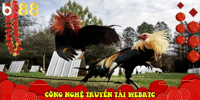 BJ88 ⭐️ Link Vào BJ88.Com Đá Gà Thomo, Casino Uy Tín 2026 27 công nghệ truyền tải WebRTC