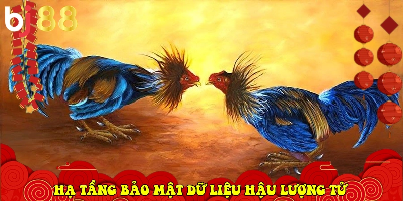 BJ88 ⭐️ Link Vào BJ88.Com Đá Gà Thomo, Casino Uy Tín 2026 29 hạ tầng bảo mật dữ liệu hậu lượng tử